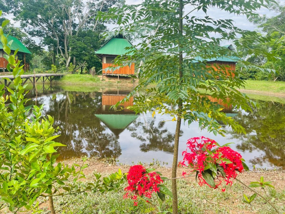 Sunrise Of Tambopata Lodge Puerto Maldonado